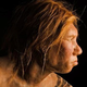 Illustration for article titled New DNA evidence could explain what happened to the Neanderthals